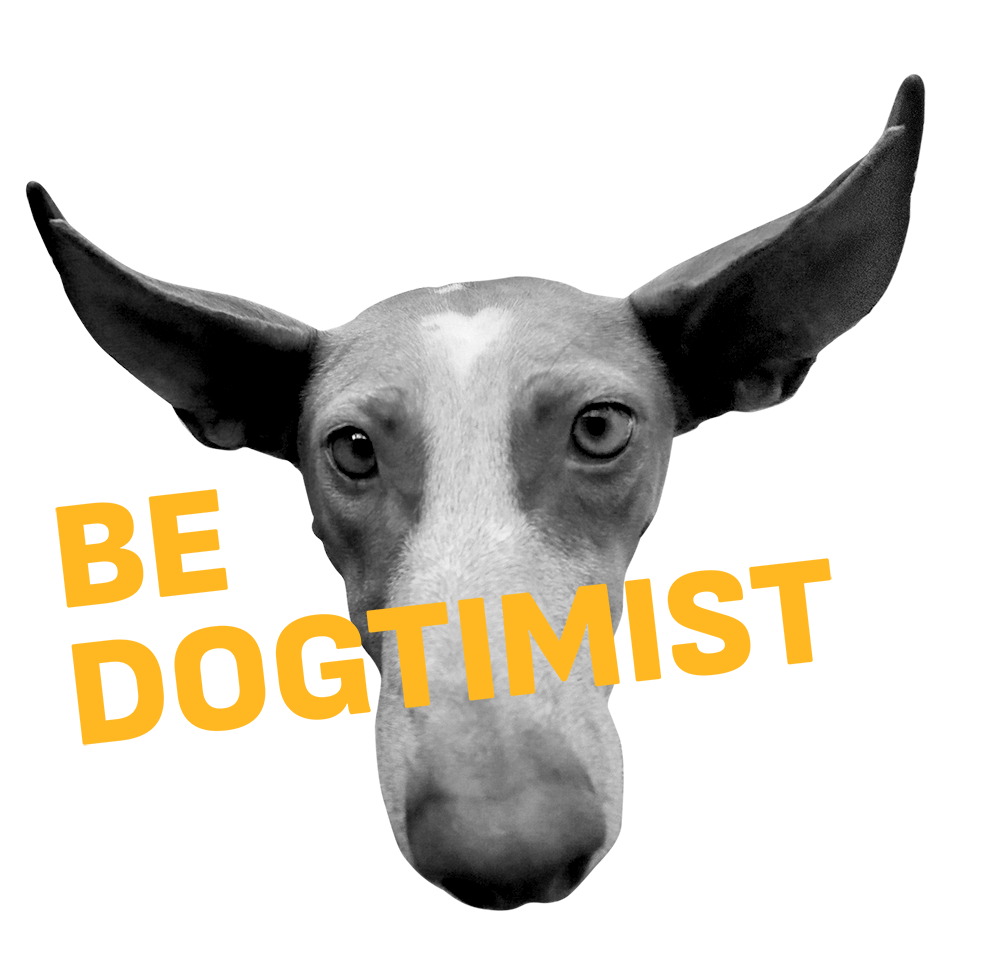 RETRATO CANDI tzr copia