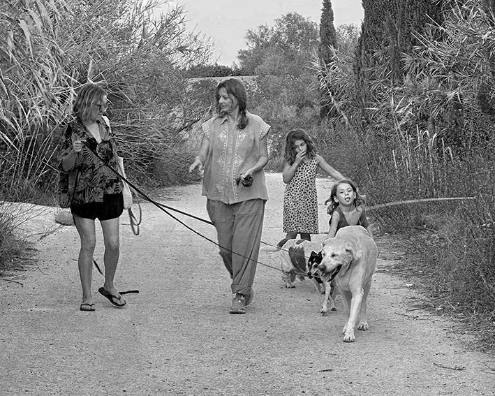 Educacion canina familiar