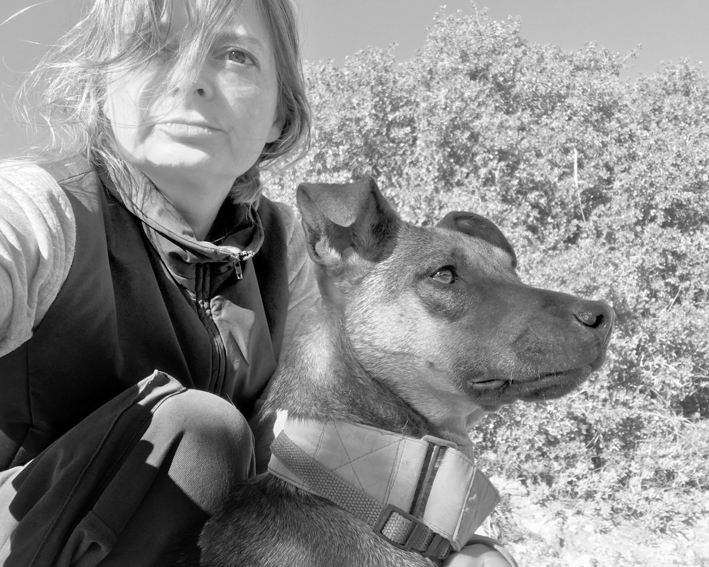 Servicios educacion canina