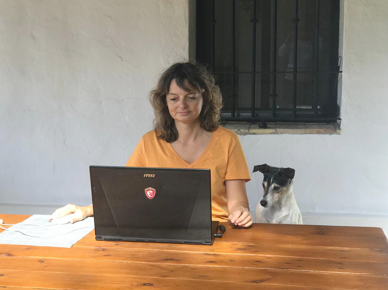 Consultoría canina para entender qué le pasa a tu perro