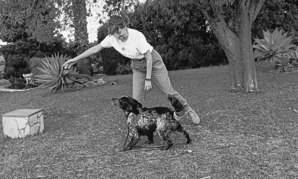 Con-tronco-juego-copia-1024x618