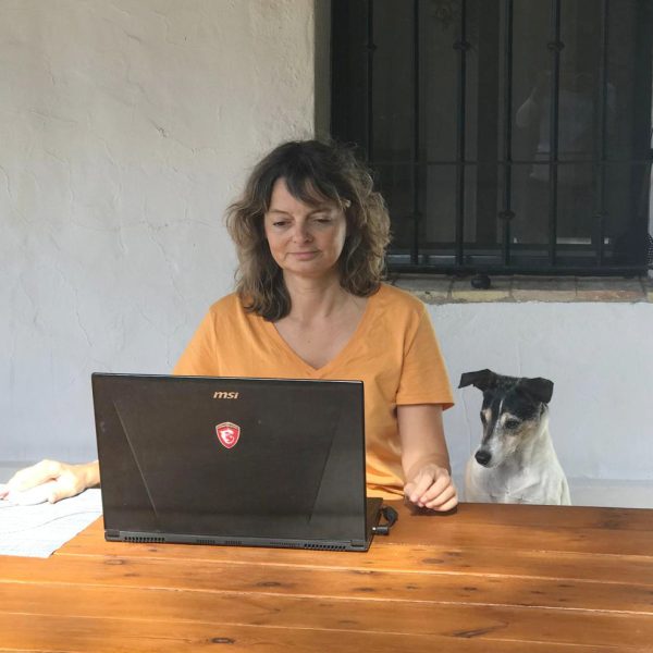 Consultoría canina para entender qué le pasa a tu perro