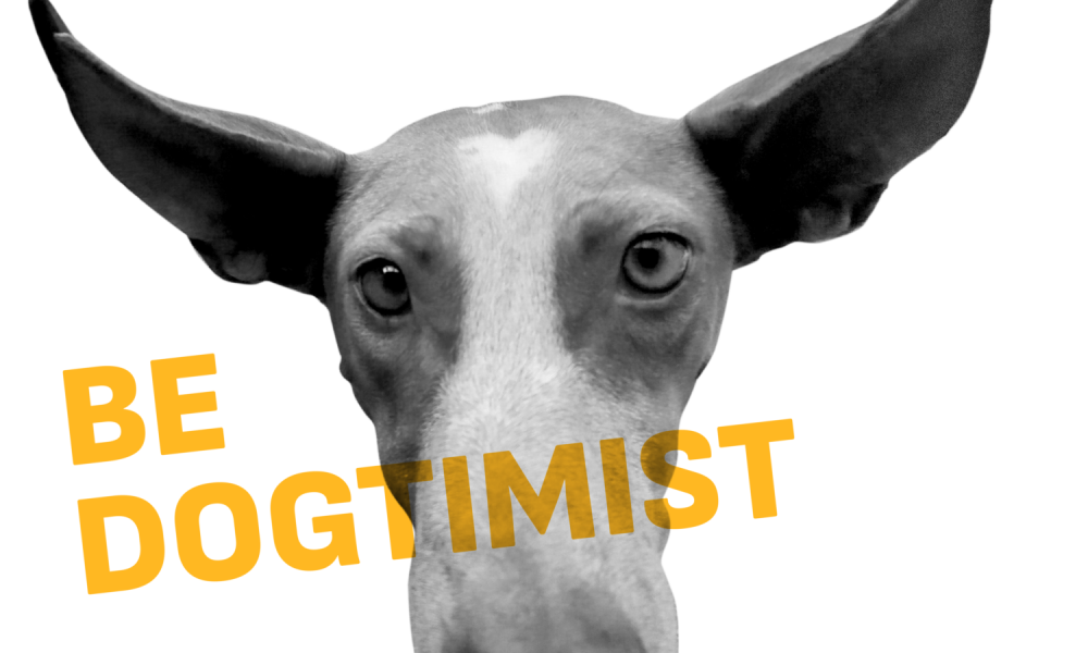 RETRATO CANDI tzr copia